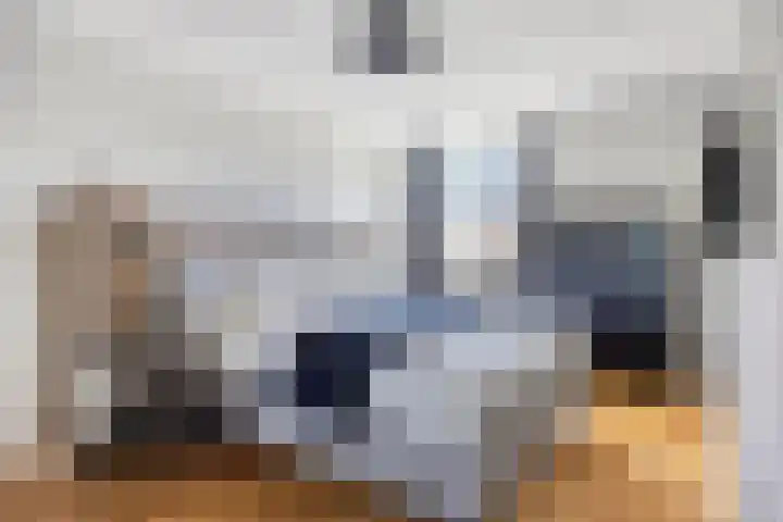 Peellaan 85 Oss thumbnail 18