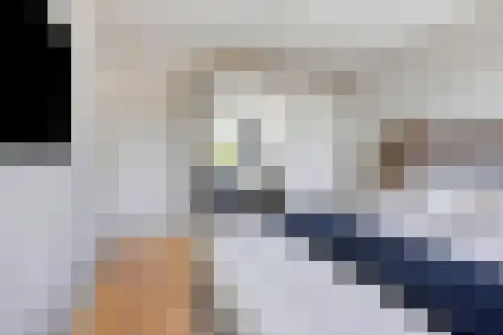 Peellaan 85 Oss thumbnail 19