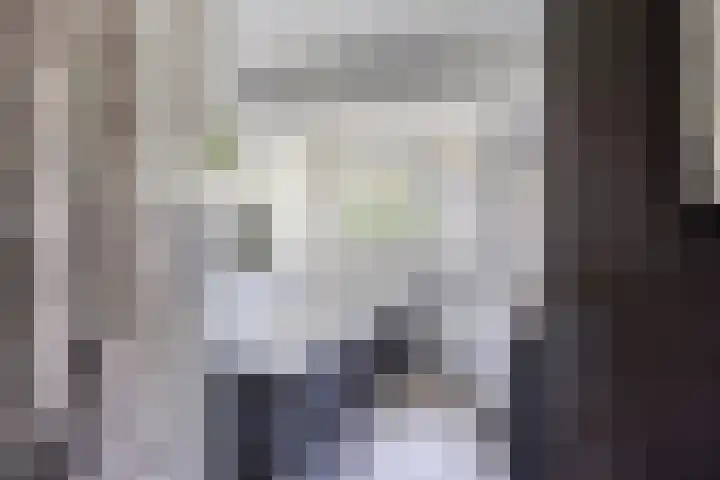 Peellaan 85 Oss thumbnail 20