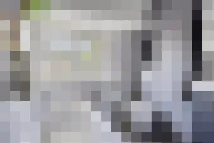 Peellaan 85 Oss thumbnail 21