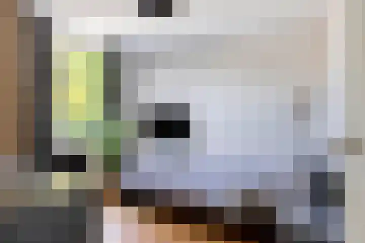 Peellaan 85 Oss thumbnail 23