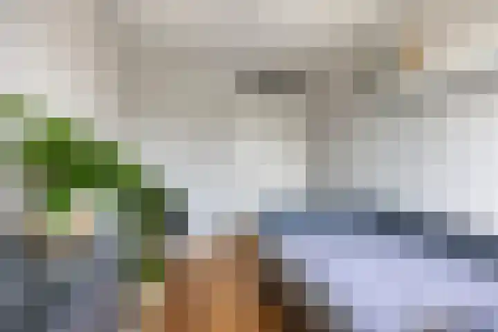 Peellaan 85 Oss thumbnail 25