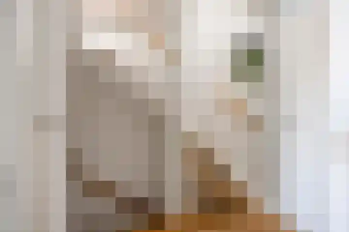 Peellaan 85 Oss thumbnail 26
