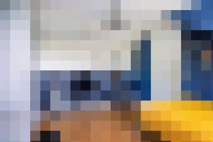 Peellaan 85 Oss thumbnail 29