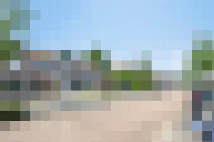 Peellaan 85 Oss thumbnail 30