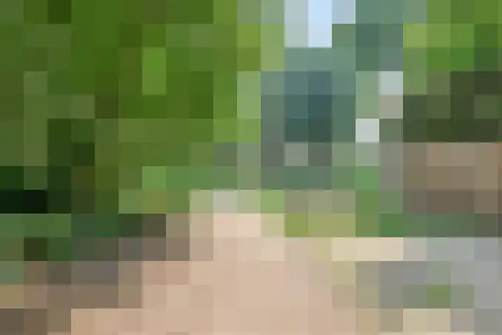 Peellaan 85 Oss thumbnail 33