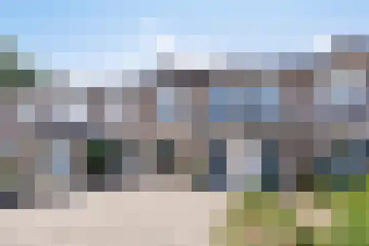 Peellaan 85 Oss thumbnail 4