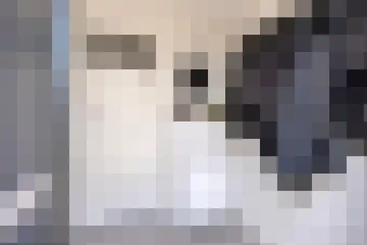 Peellaan 85 Oss thumbnail 5