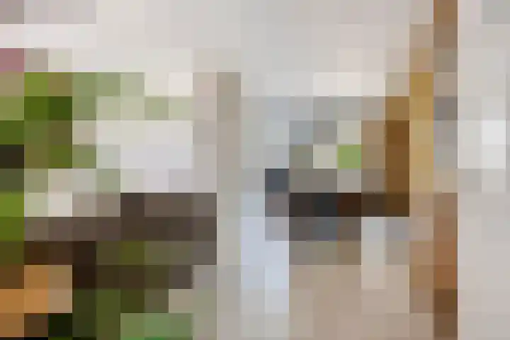 Peellaan 85 Oss thumbnail 7