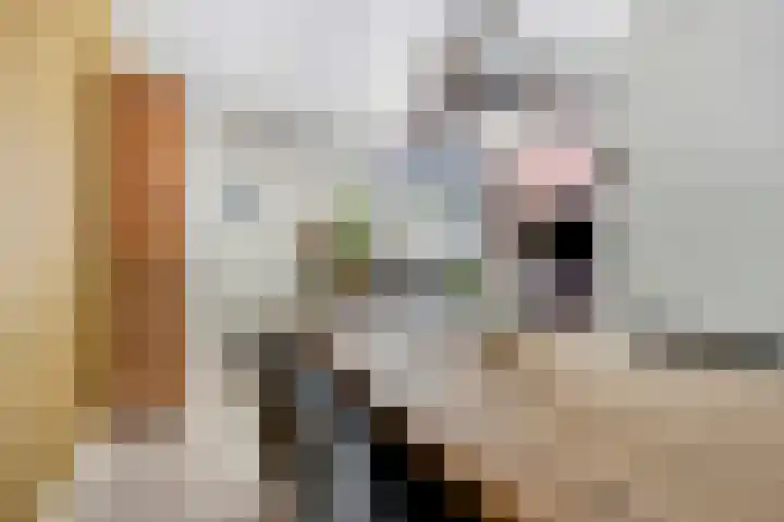 Peellaan 85 Oss thumbnail 8