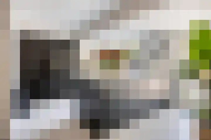 Peellaan 85 Oss thumbnail 9