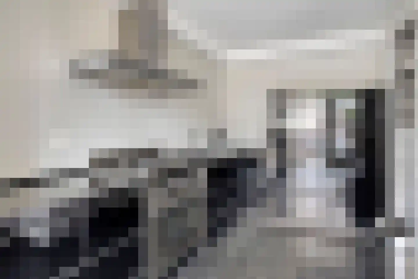 Peellaan 87 Oss thumbnail 12
