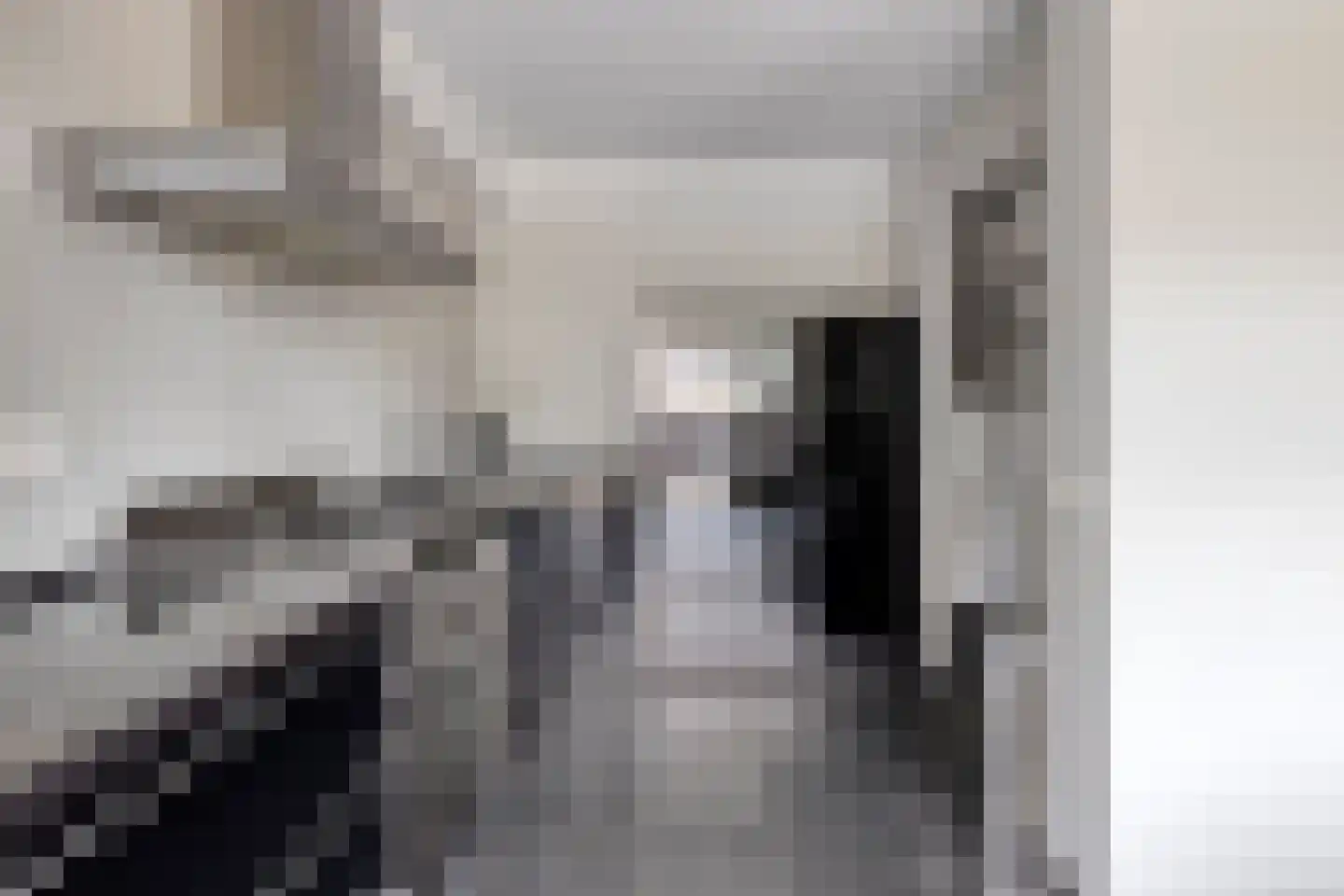 Peellaan 87 Oss thumbnail 13