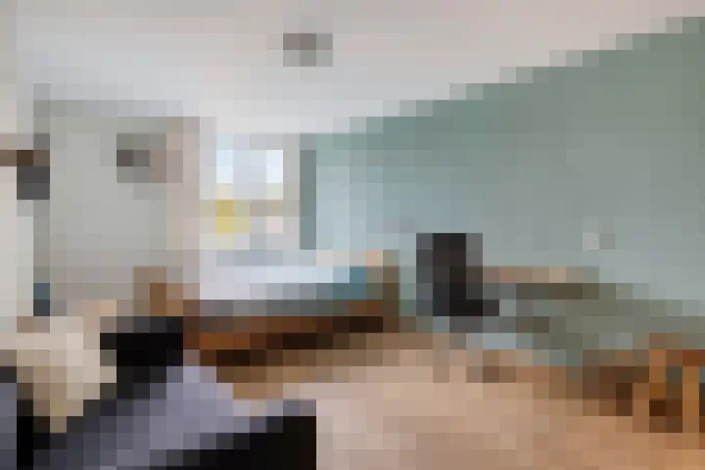 Peellaan 87 Oss thumbnail 16