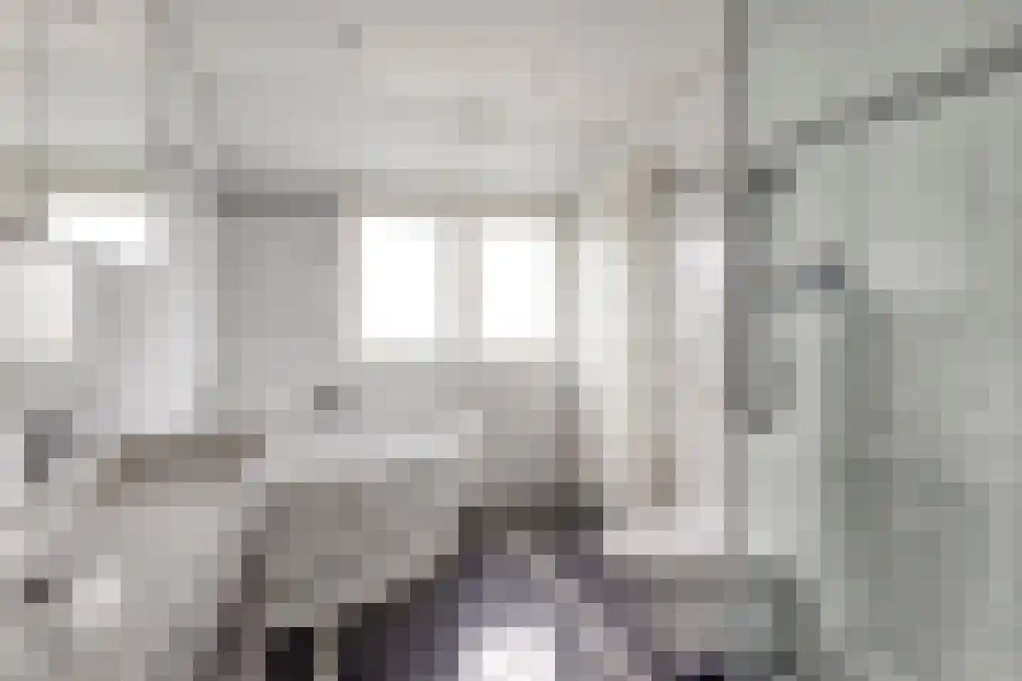 Peellaan 87 Oss thumbnail 19