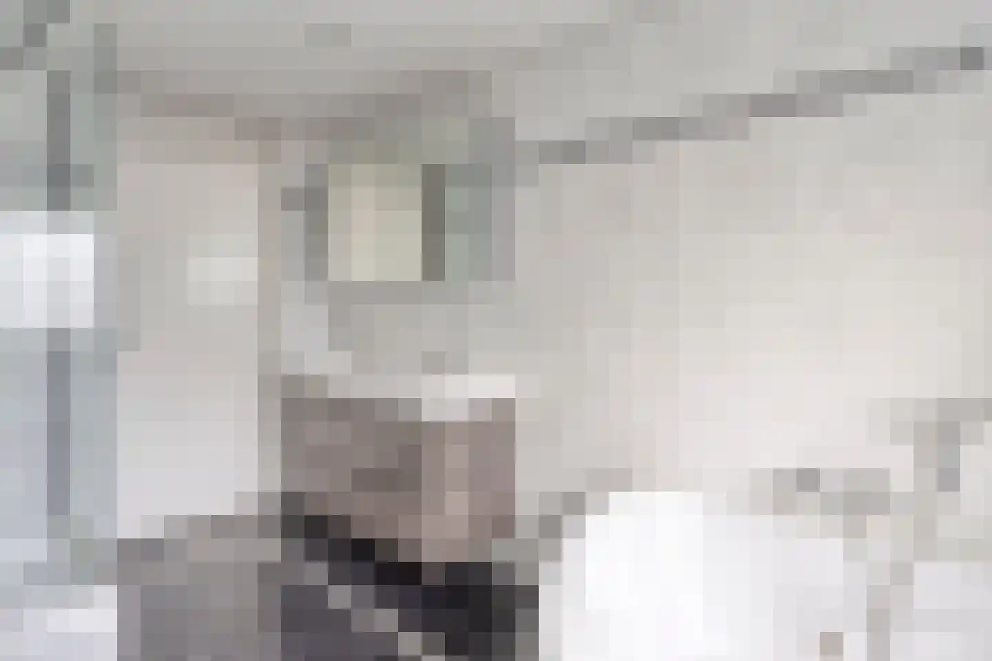 Peellaan 87 Oss thumbnail 20