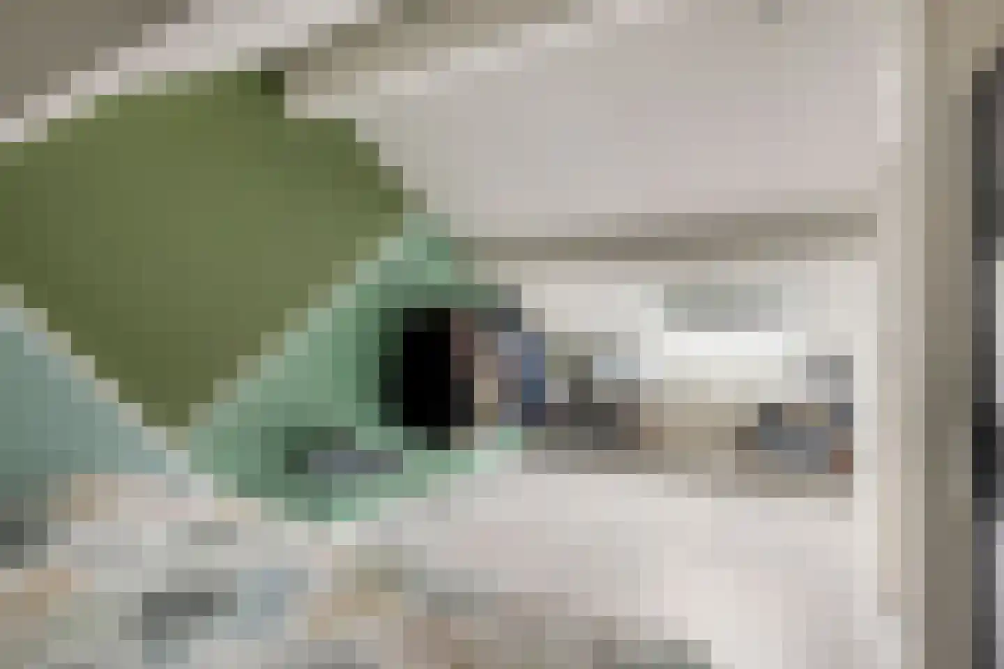 Peellaan 87 Oss thumbnail 21