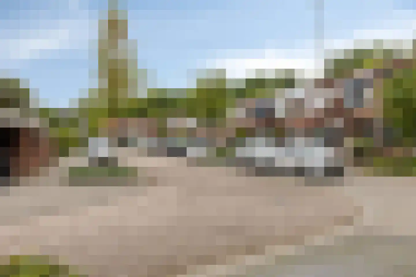 Peellaan 87 Oss thumbnail 30