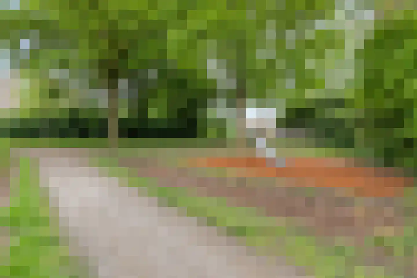 Peellaan 87 Oss thumbnail 31