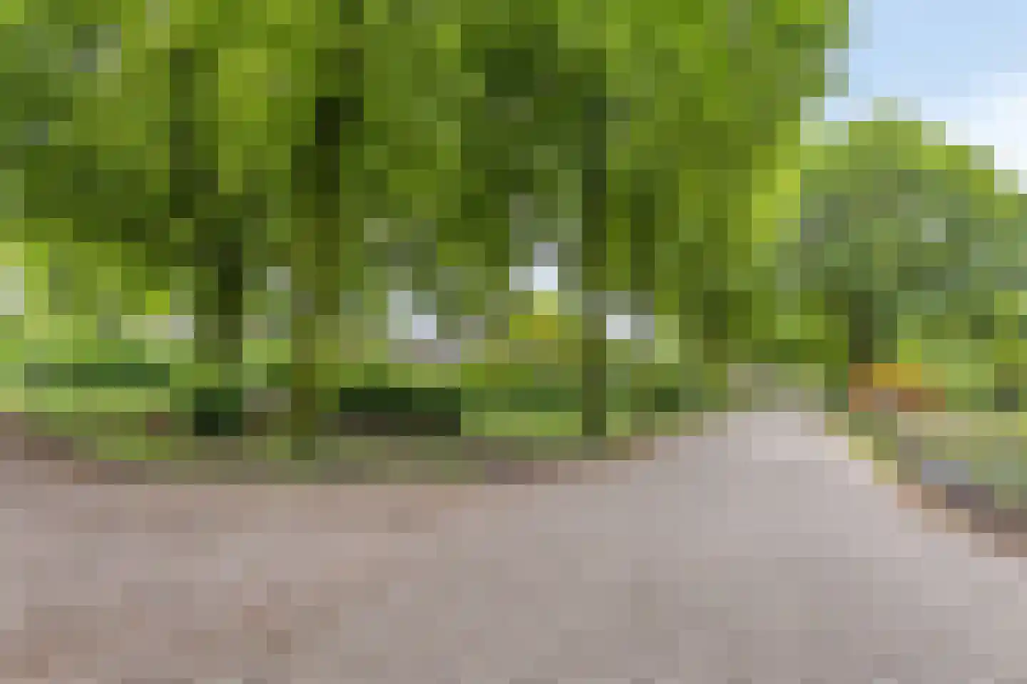 Peellaan 87 Oss thumbnail 32
