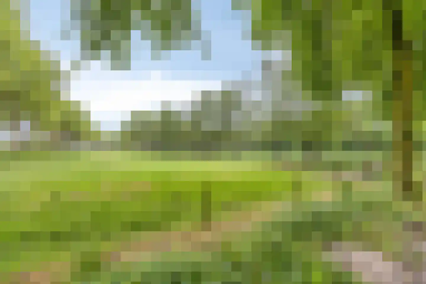 Peellaan 87 Oss thumbnail 33
