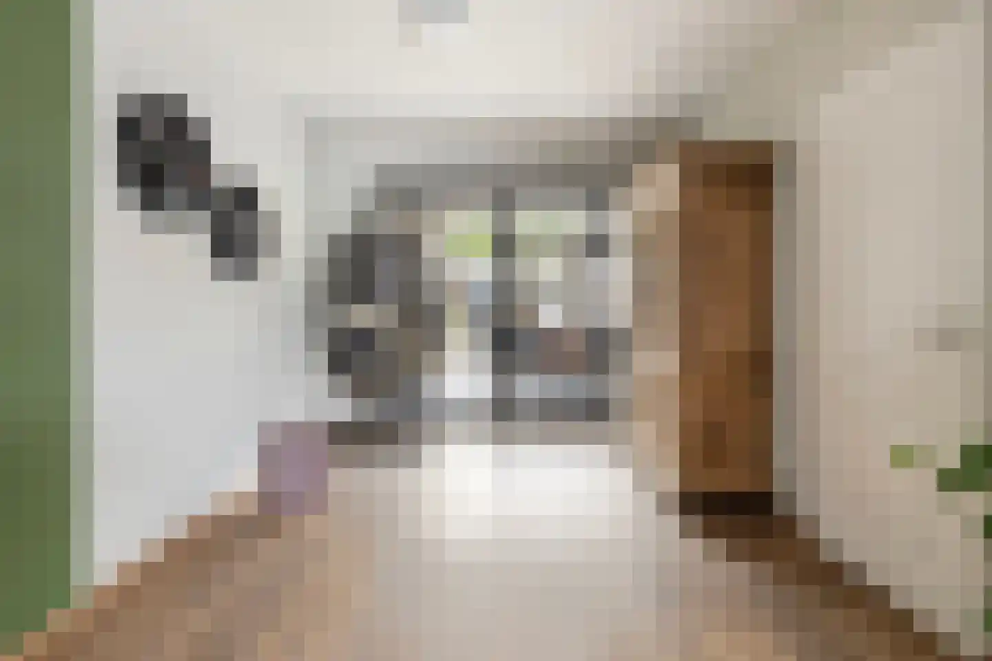 Peellaan 87 Oss thumbnail 5