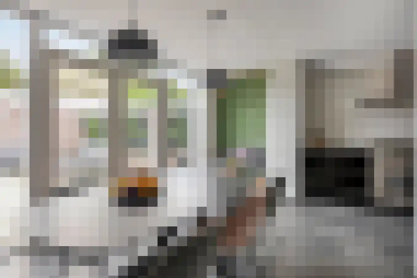 Peellaan 87 Oss thumbnail 6