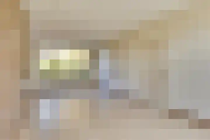 Peellaan 89 Son en Breugel thumbnail 10