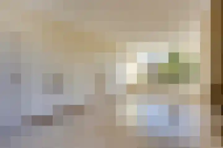 Peellaan 89 Son en Breugel thumbnail 11