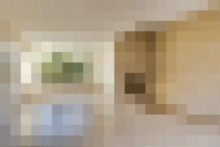 Peellaan 89 Son en Breugel thumbnail 12