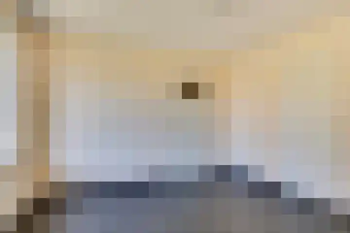 Peellaan 89 Son en Breugel thumbnail 16