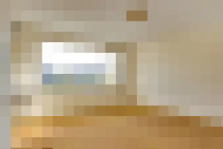 Peellaan 89 Son en Breugel thumbnail 17