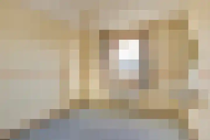 Peellaan 89 Son en Breugel thumbnail 19