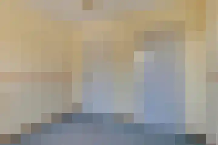 Peellaan 89 Son en Breugel thumbnail 20