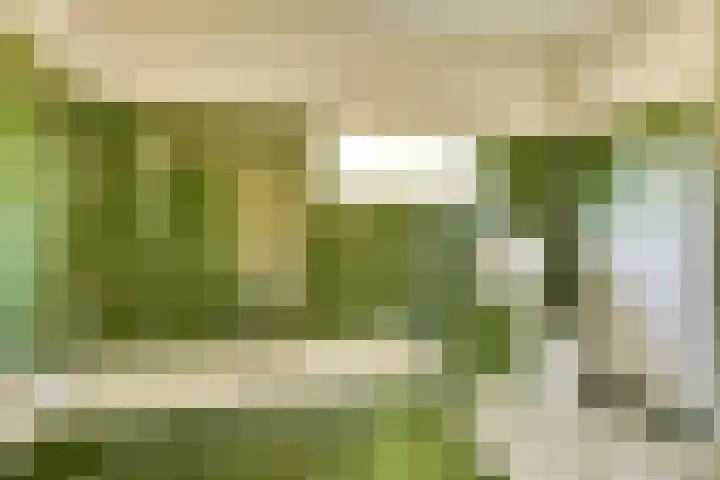Peellaan 89 Son en Breugel thumbnail 21