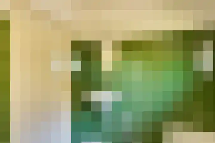 Peellaan 89 Son en Breugel thumbnail 22