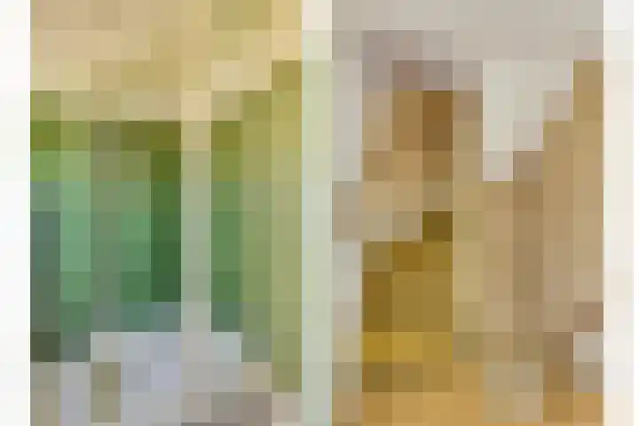 Peellaan 89 Son en Breugel thumbnail 23