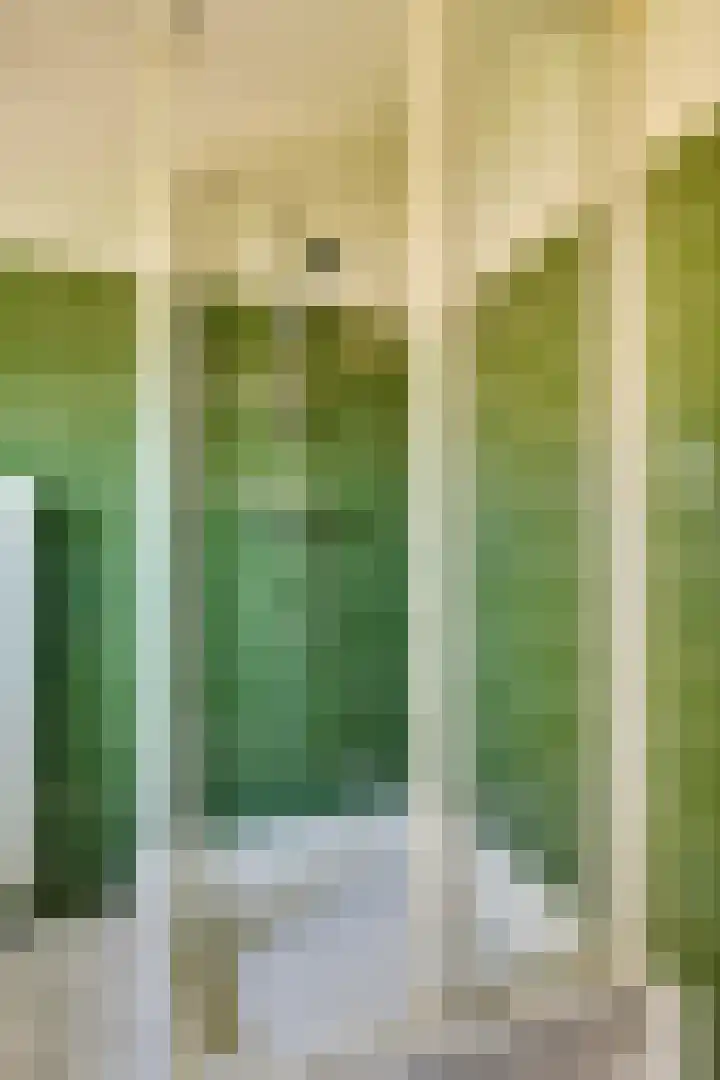 Peellaan 89 Son en Breugel thumbnail 24
