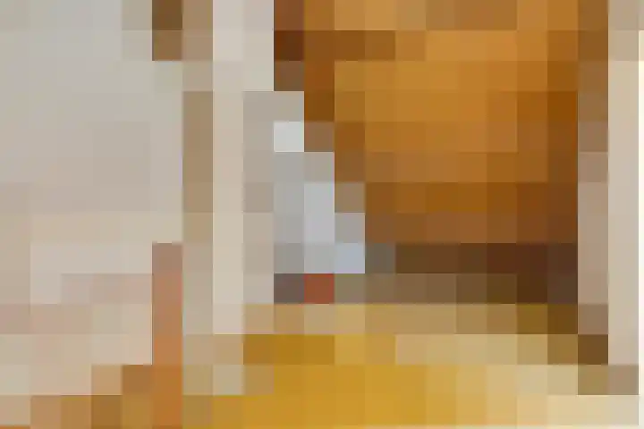 Peellaan 89 Son en Breugel thumbnail 26