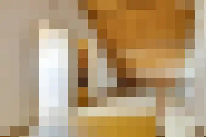 Peellaan 89 Son en Breugel thumbnail 27