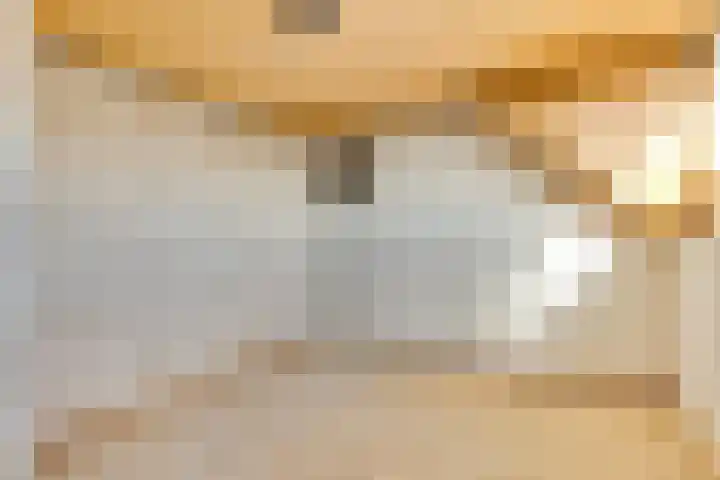 Peellaan 89 Son en Breugel thumbnail 29