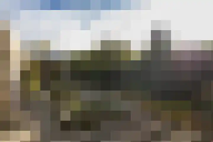 Peellaan 89 Son en Breugel thumbnail 32