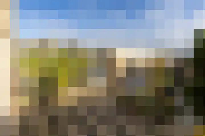 Peellaan 89 Son en Breugel thumbnail 33