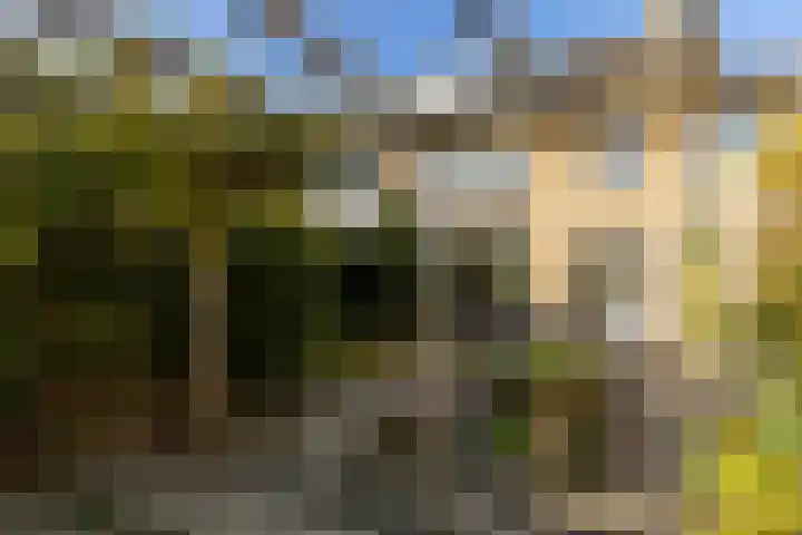 Peellaan 89 Son en Breugel thumbnail 34