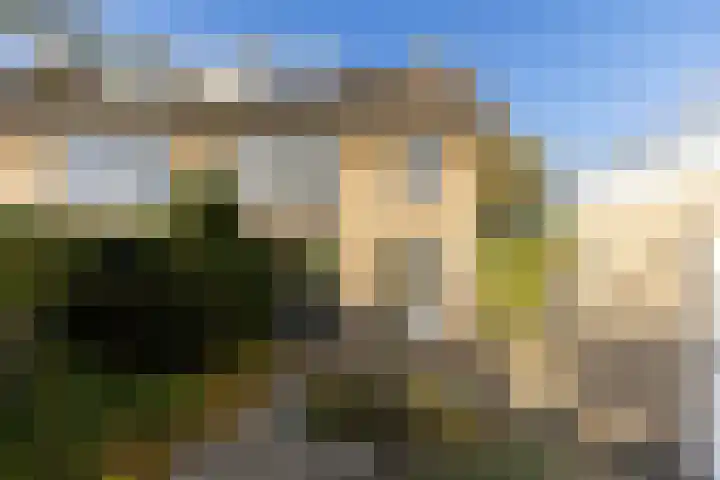 Peellaan 89 Son en Breugel thumbnail 35
