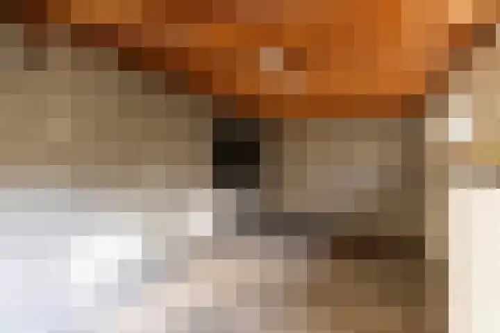 Peellaan 89 Son en Breugel thumbnail 36