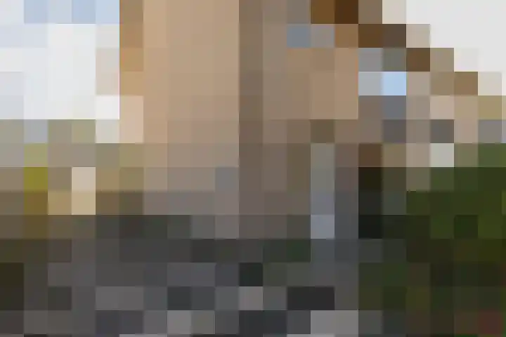 Peellaan 89 Son en Breugel thumbnail 39