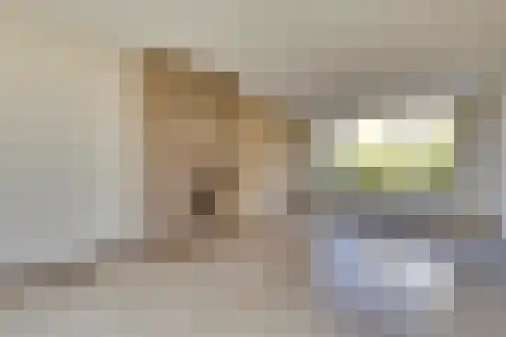 Peellaan 89 Son en Breugel thumbnail 4