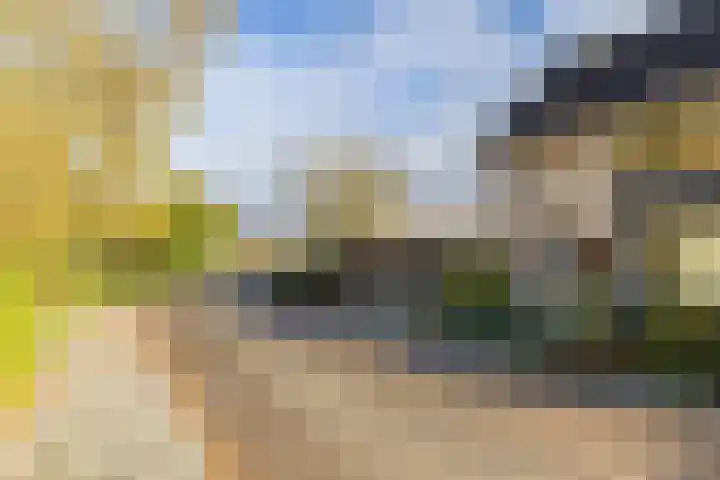 Peellaan 89 Son en Breugel thumbnail 43