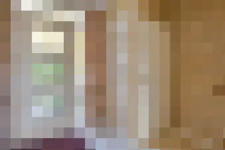 Peellaan 89 Son en Breugel thumbnail 6